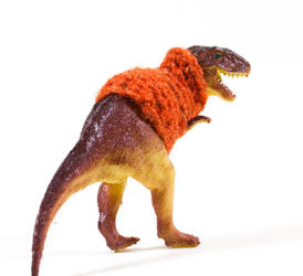 Tyrannosaurus Rex in a sweater