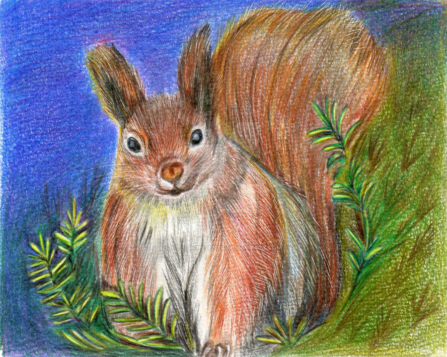 Deviantart Risumon Squirrel Squirrel by ColorCresendo on DeviantArt