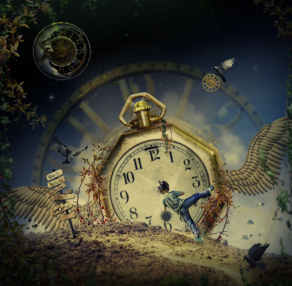 Time Flies by vacuumslayer