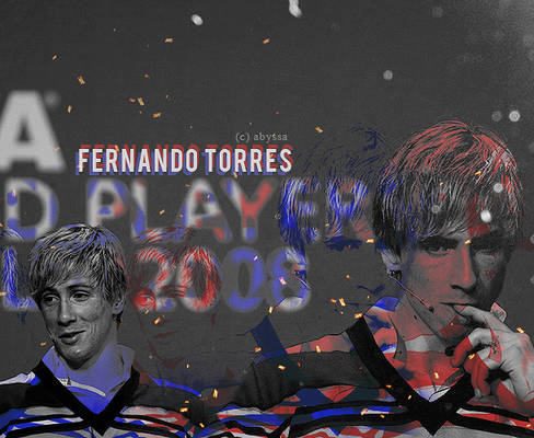 Fernando Torres 16