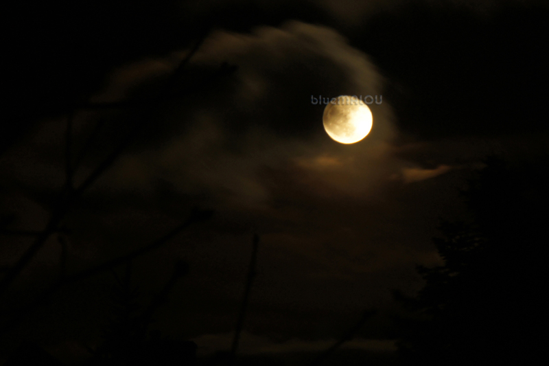 Passing Moon through the Clouds