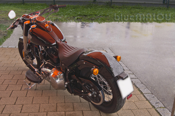 Harley Davidson3