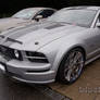 Silver Mustangs2