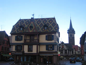 Strasbourg_roof