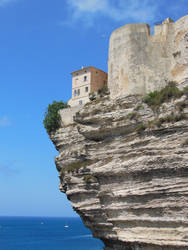 Bonifacio