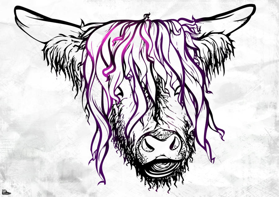 Sapi Design SAPI by banditbaikbaik on DeviantArt