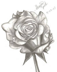 Sketches Pencil Drawings By Deathecho On Deviantart