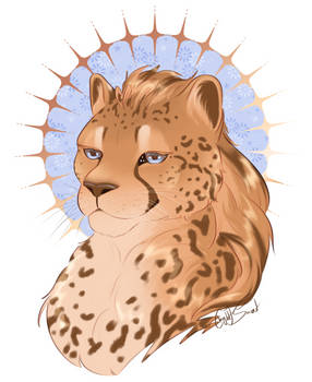 Big Cat Sketch Headshots