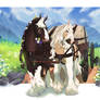 Collab | Country Trails