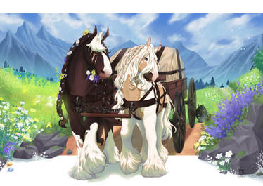 Collab | Country Trails