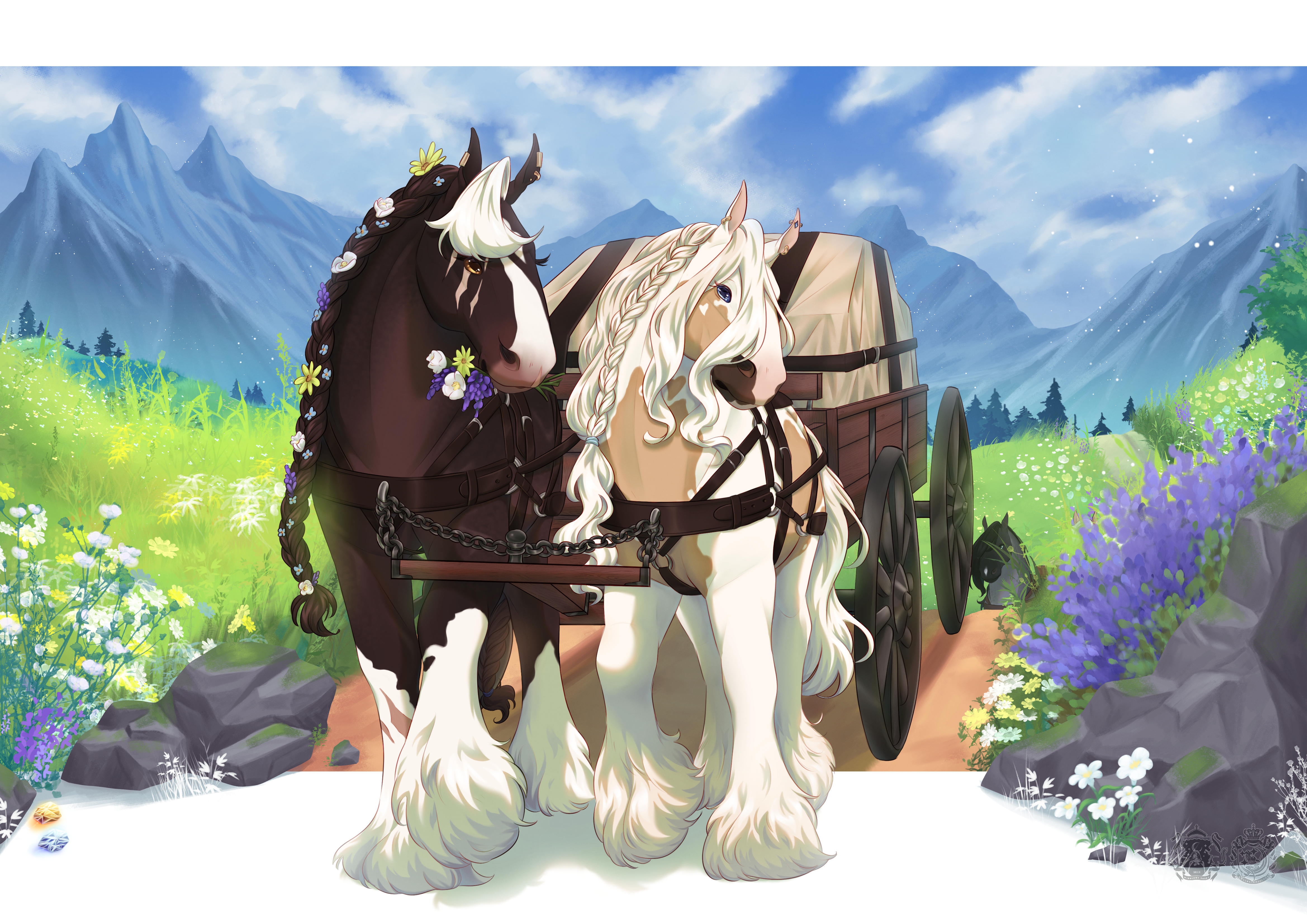 Collab | Country Trails