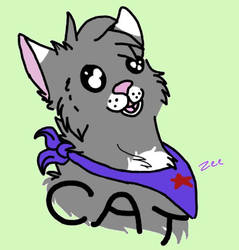 cat c: