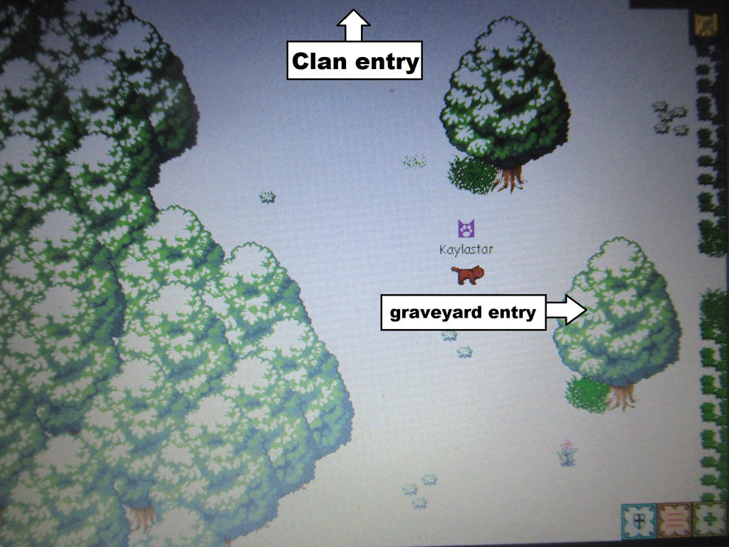 Warriors Cats Untold Tales Graveyard Entry By Wolflover7948 On