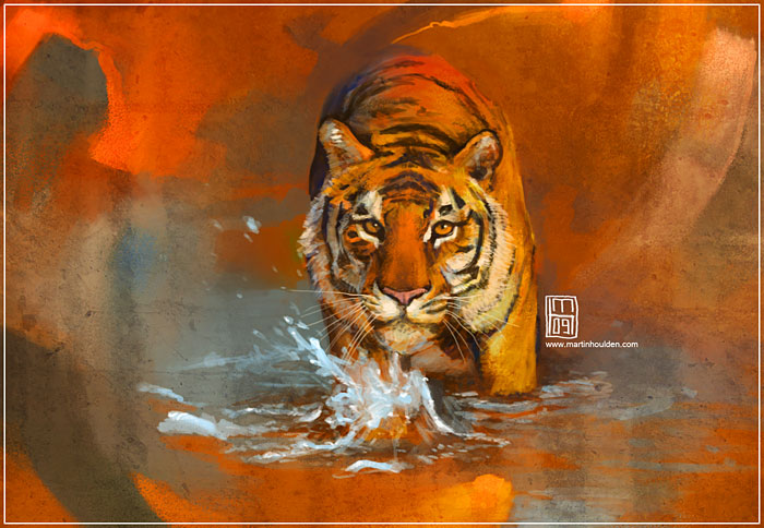 _study tiger