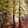 Acrylic Painting Sunshine In Forest
