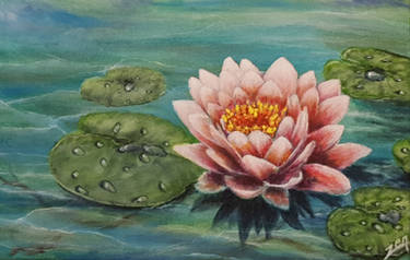 Acrylic Painting On Canvas. Lotus Flower. pankaja