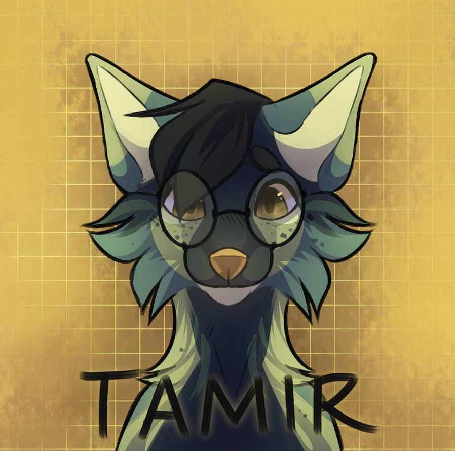 Tamir Pfp by chaiitheo on DeviantArt