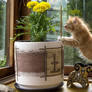 Kitten and flower in vase