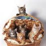 A basket of kittens.