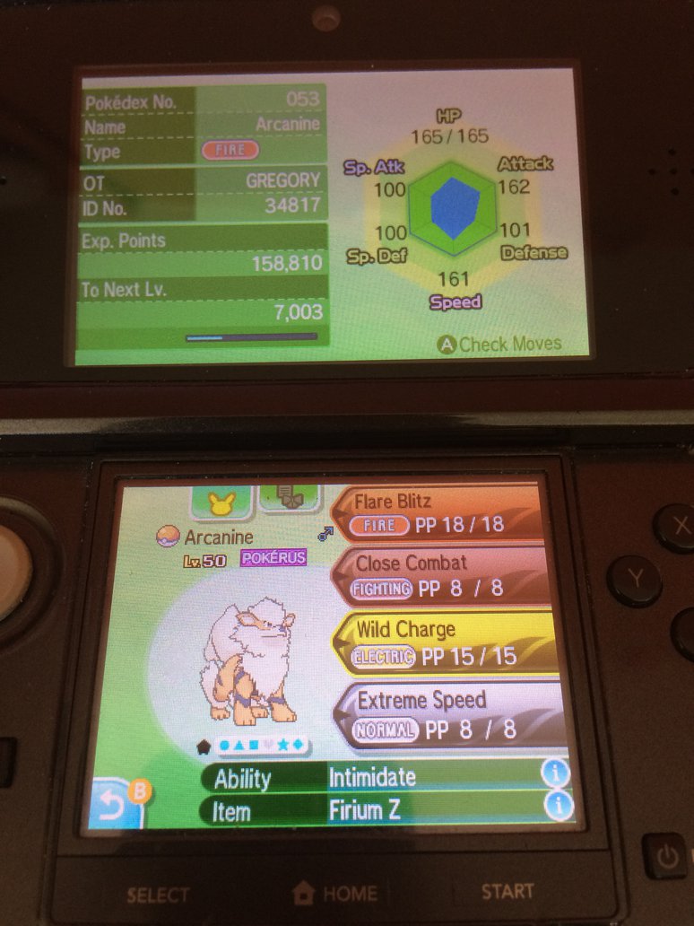 Competitive Pokemon: Arcanine by Strikerprime on DeviantArt