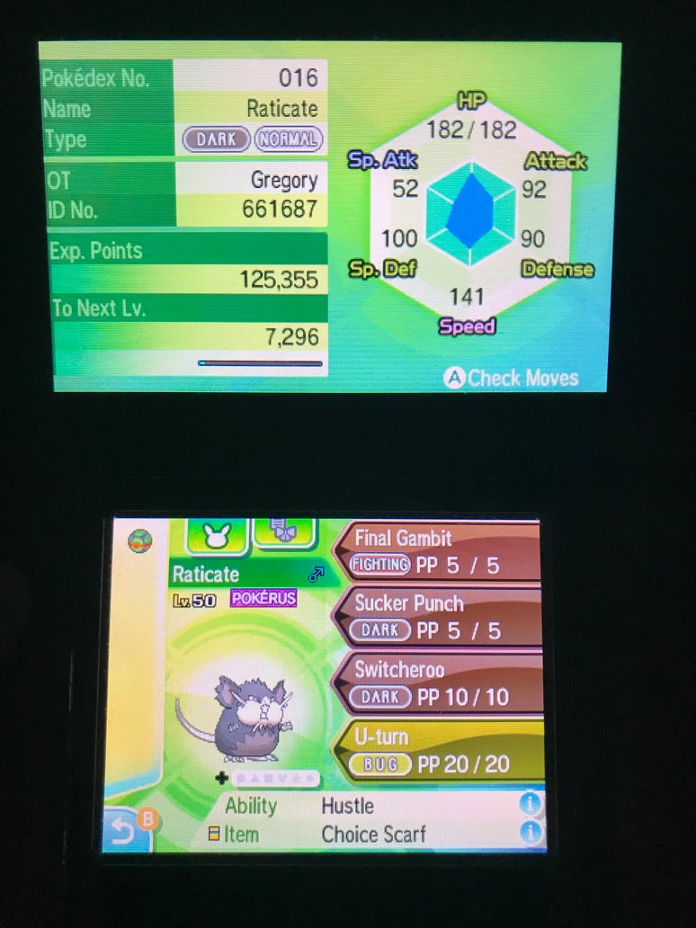 Competitive Pokemon: Alolan Raticate by Strikerprime on DeviantArt