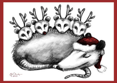 Holiday Card 2017: Mama Possum