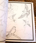 Another page from my book: Birds of the World