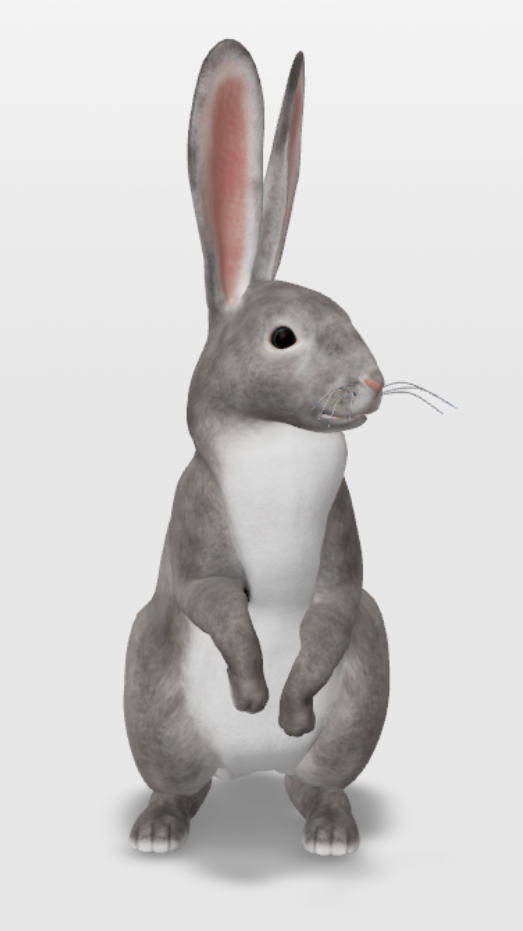Deviantart Mini Rabbit Rabbit by DaisyDog3 on DeviantArt