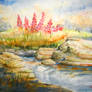 Creekside Paintbrush