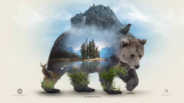 This is Bear Country - Desktopography 2020