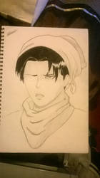 Cleaning Levi (WIP)