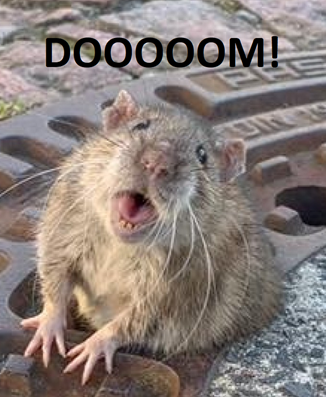 Dooooom Rat Meme By Turbomaple On Deviantart Dooooom Rat Meme By Turbomaple On Deviantart