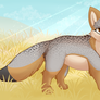 Island Fox