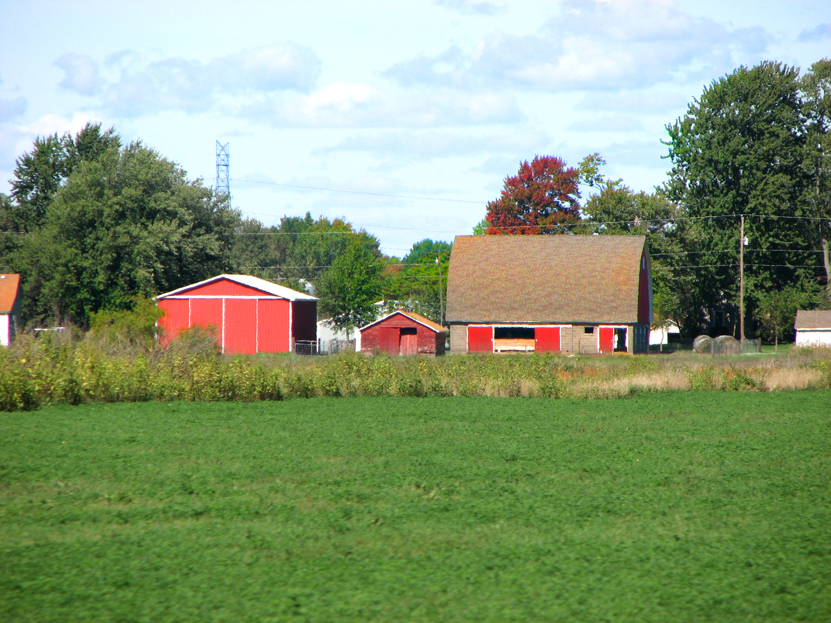 Barn