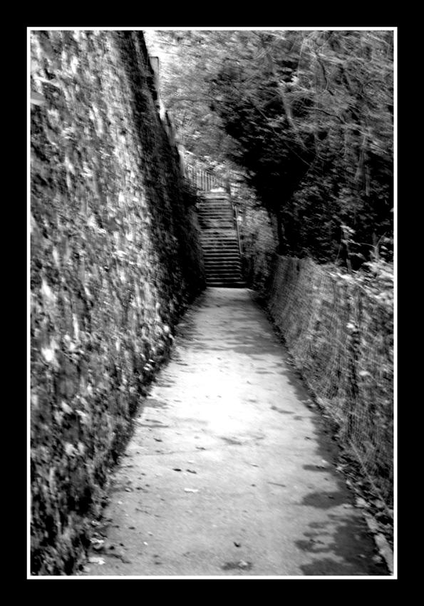 Pathway by KillingSpyder on DeviantArt