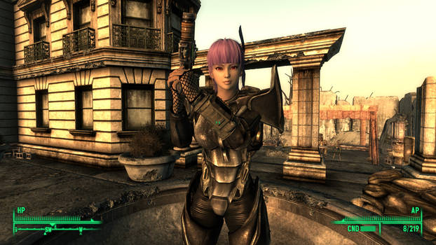 Fallout3 Ayane race