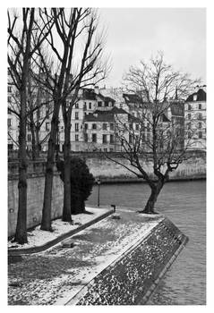 3993 - La Seine