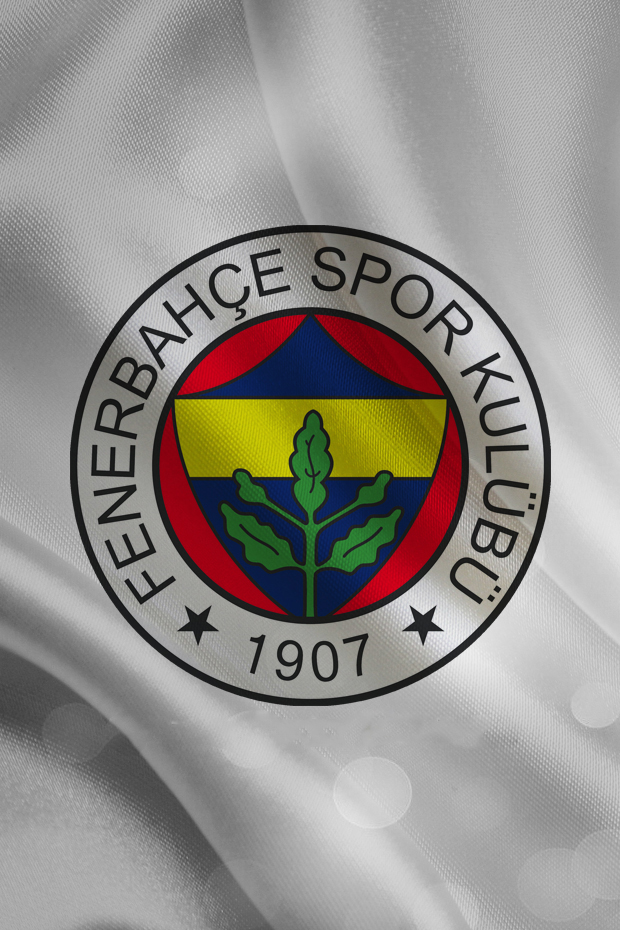champion fenerbahce by fatihgundogdu on