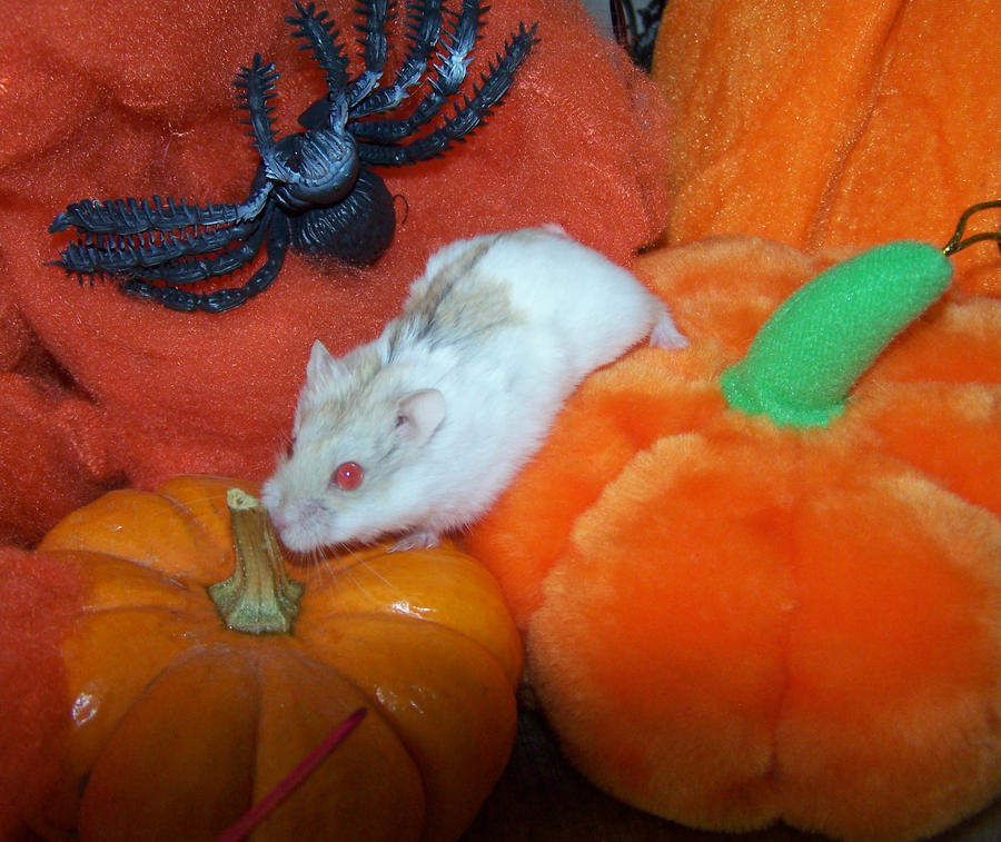 Pixie Magic by LexCorp213 on DeviantArt