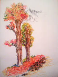 autumn trees no.2