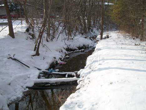 Pollution in the snow