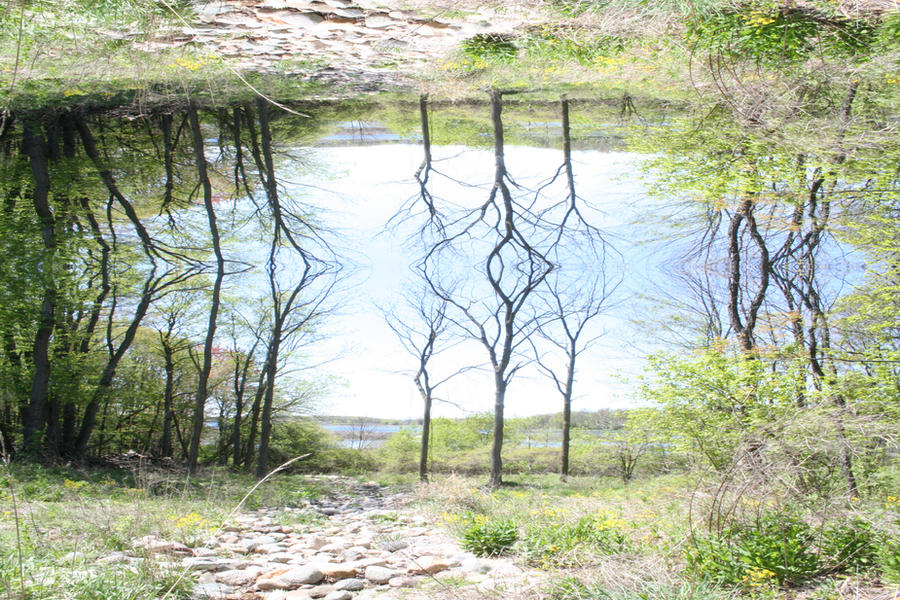 Symmetry Rocks Rocky Symmetry by Cooper1994 on DeviantArt