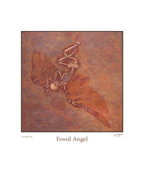Fossil Angel
