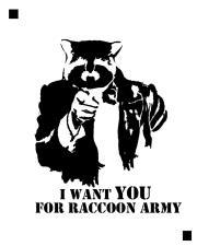 Raccoon army