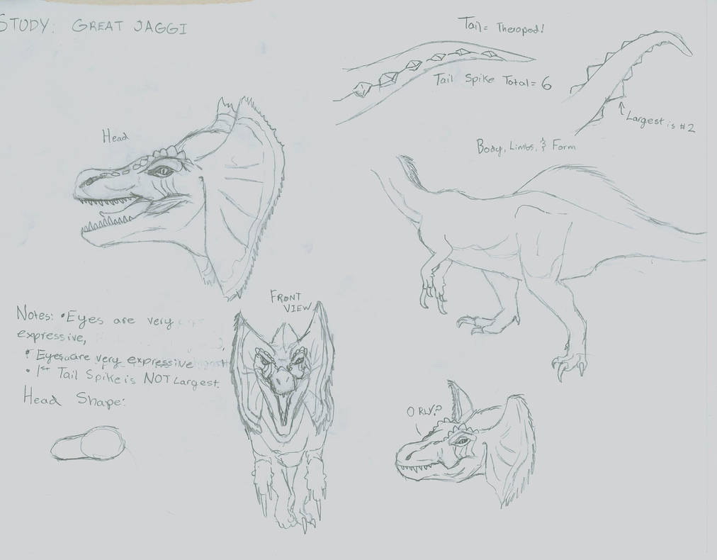 Great Jaggi Study by rheinart on DeviantArt