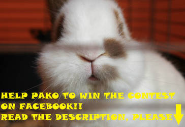 Help Pako to win the contest!!