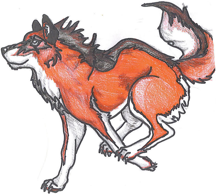 Running Red Wolf by JackieWolf1024 on DeviantArt