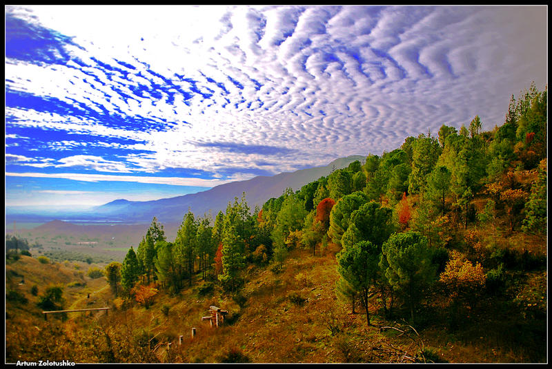 Golan view