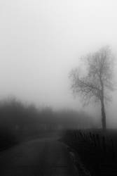 Silence of mist