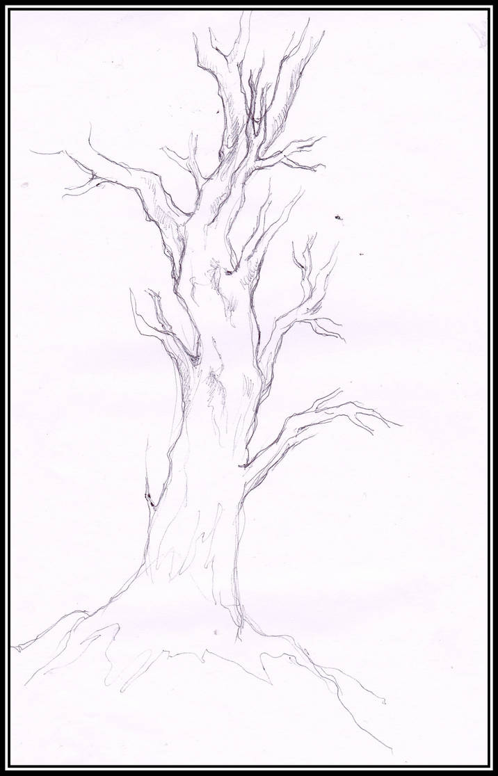 Arbre Esquisse By VeronkaPHP On DeviantArt arbre-esquisse-by-veronkaphp-on-deviantart